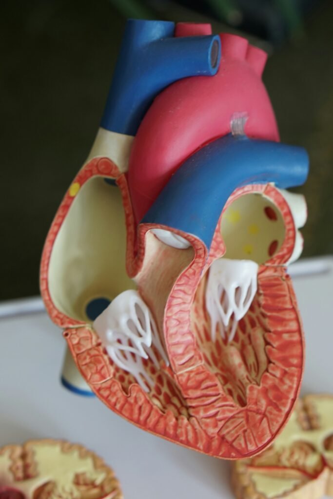 Stent Bioabsorvível